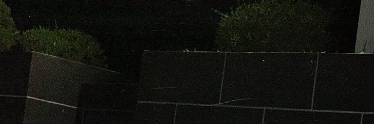 Miciito's profile banner image
