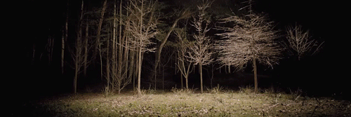 Wolf_WatchRPG's profile banner image