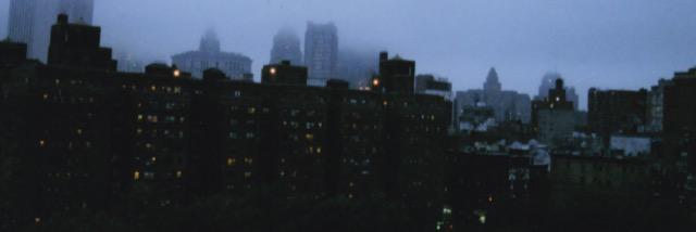 evelinepsygdr's profile banner image