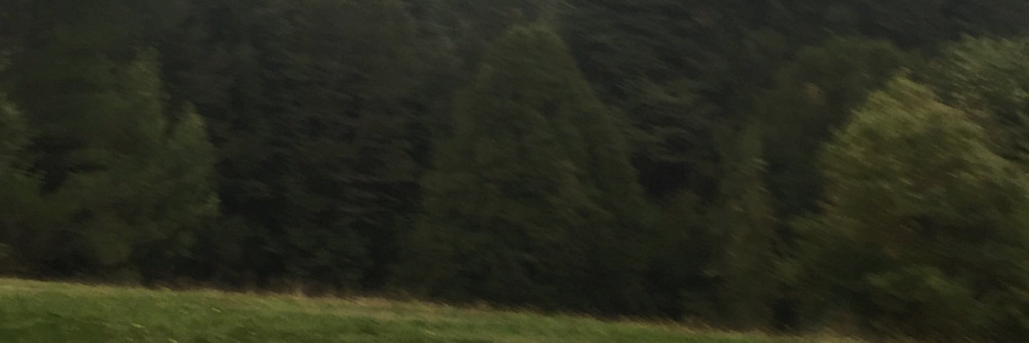gorokoy's profile banner image