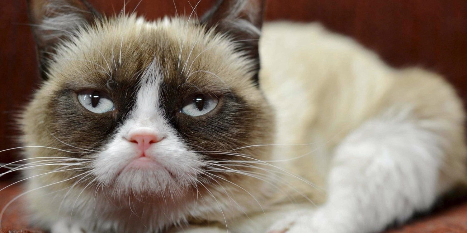 GrumpyPLUR's profile banner image