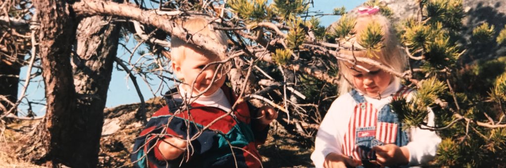 sbrever's profile banner image