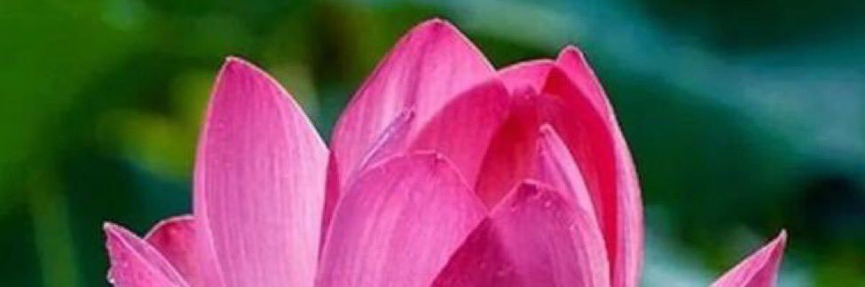 RSingh_7's profile banner image