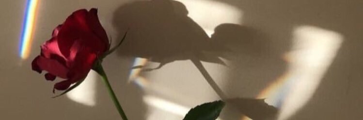 SuperDuperZeus's profile banner image