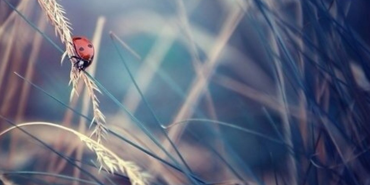 angel199261's profile banner image