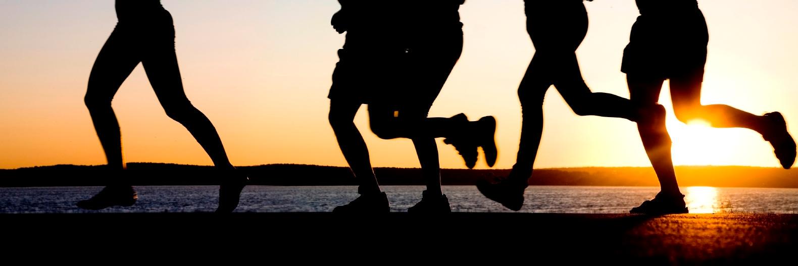 Shapeup_Fitness's profile banner image