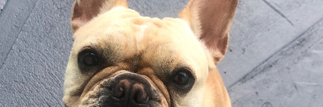 bruhsam34's profile banner image