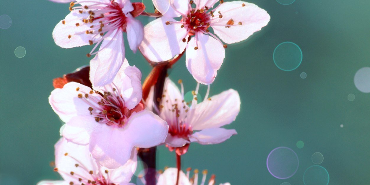 romy_lv's profile banner image