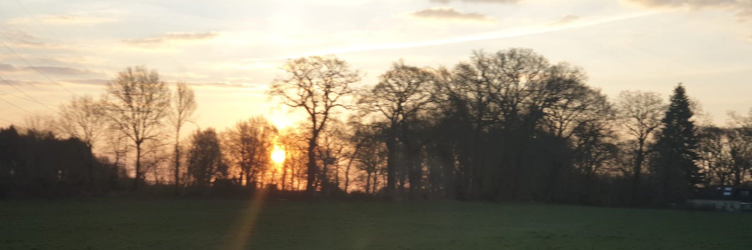 Mfa001M's profile banner image
