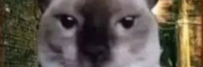 ___rzz_'s profile banner image