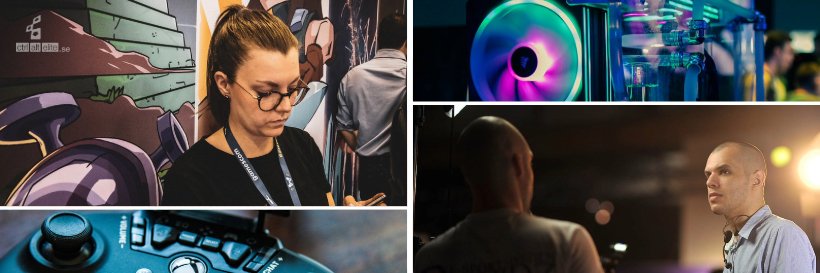 controlaltelite's profile banner image