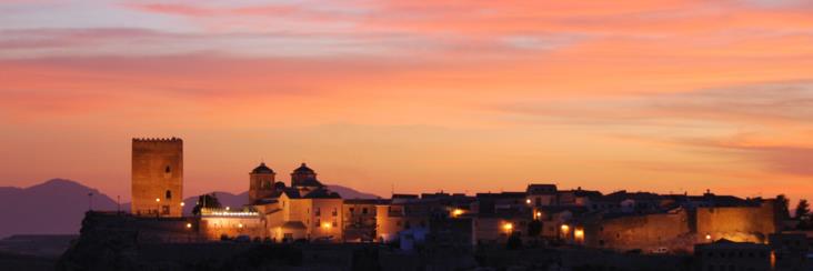 Ayuntamiento Aledo banner