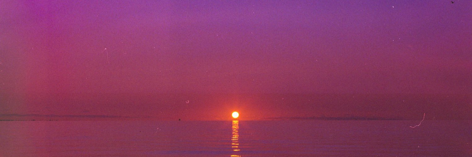 maayasimone's profile banner image