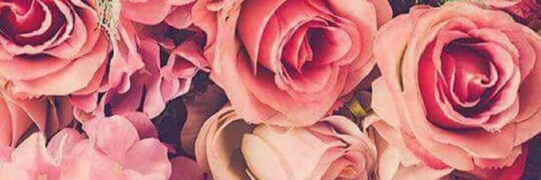 Mer_5_'s profile banner image