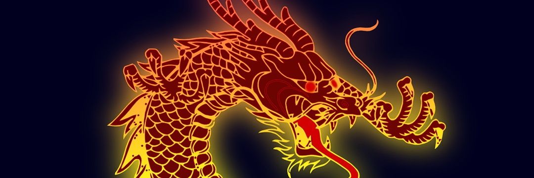 LDolignon's profile banner image