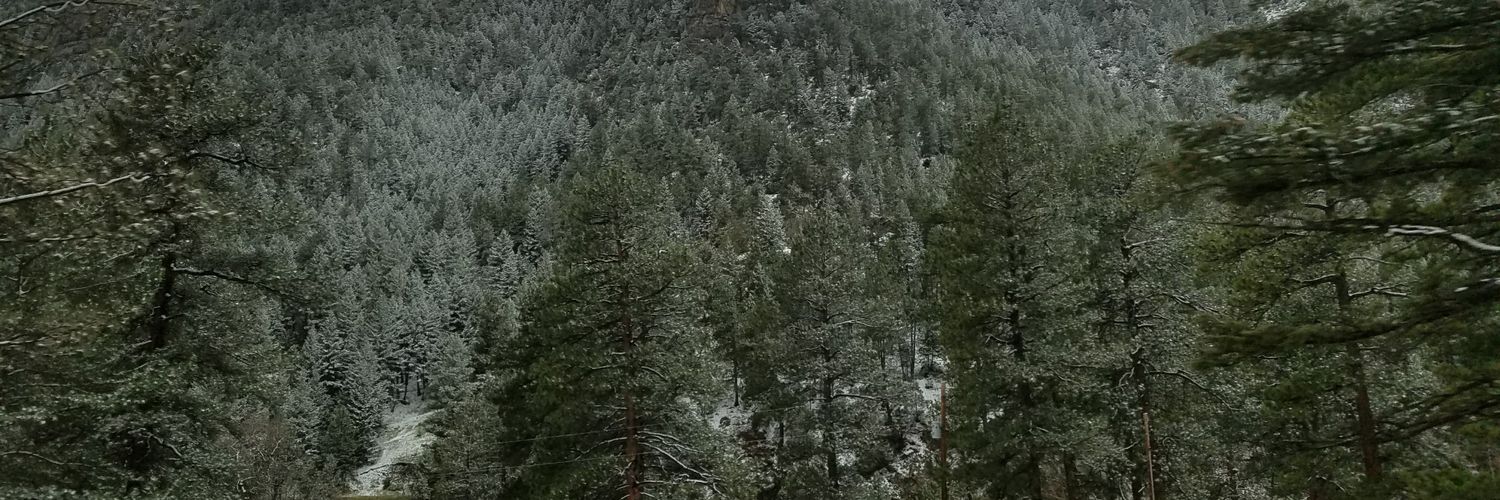 Y0okl's profile banner image