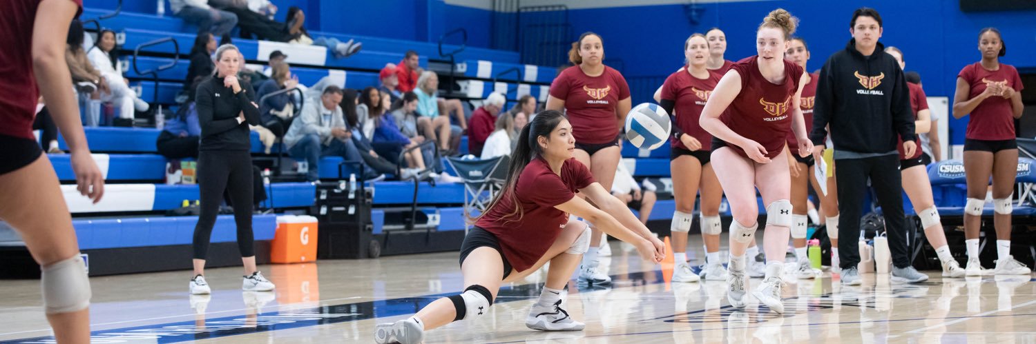 CSUDHvb's profile banner image