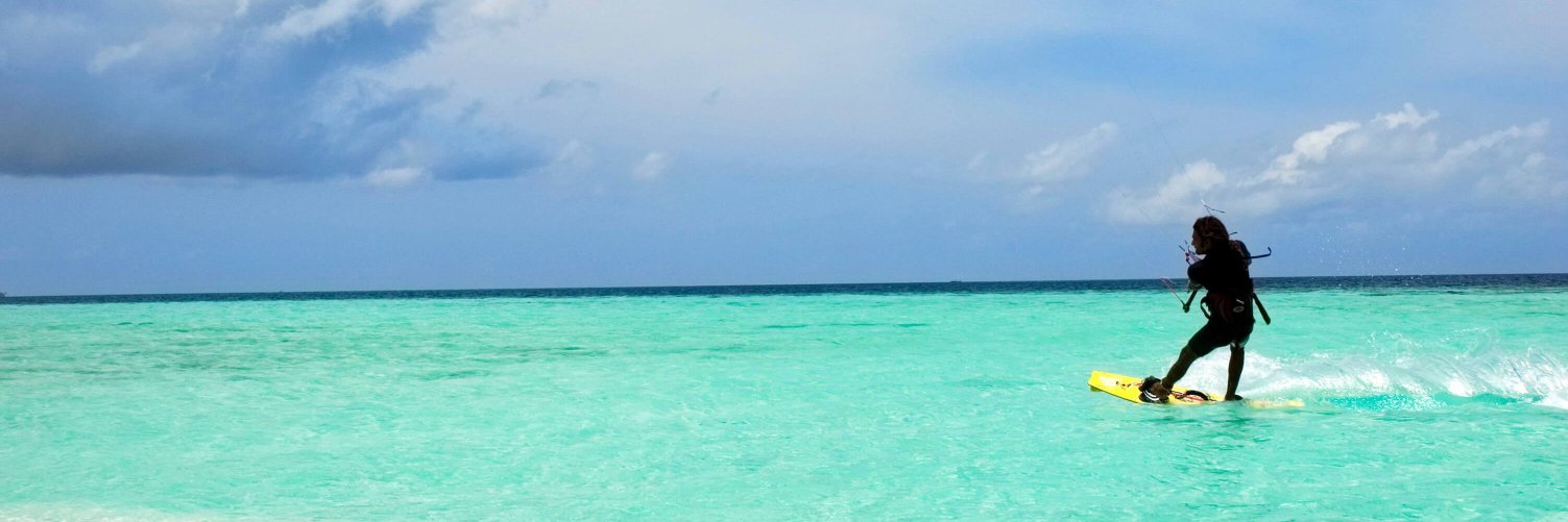 Jennifer Timmerman banner