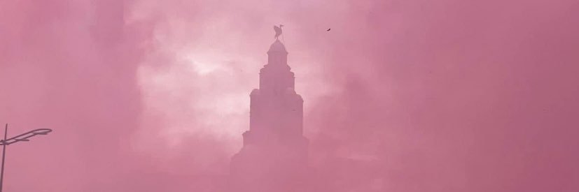 Mark Phillips banner