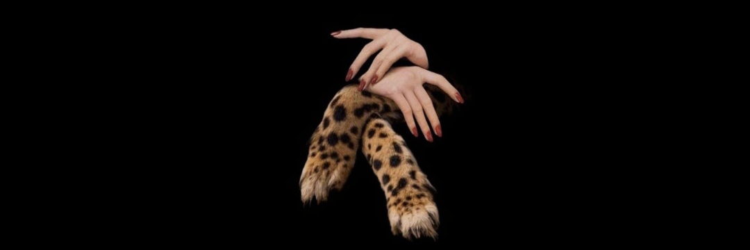 cevvalleblebi's profile banner image