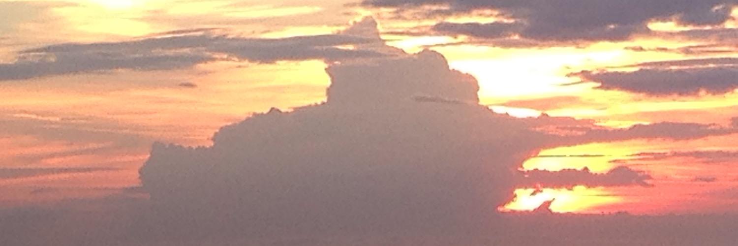 McCallAllen1224's profile banner image
