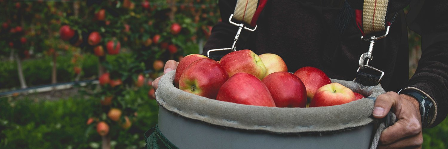 bctreefruits's profile banner image