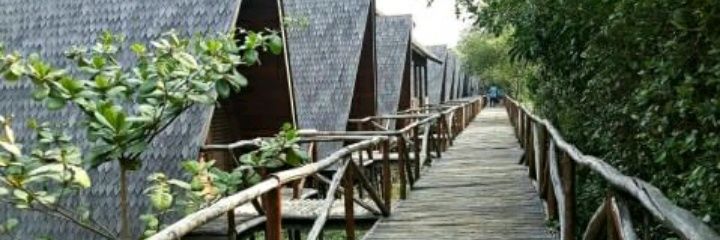 ircham238's profile banner image
