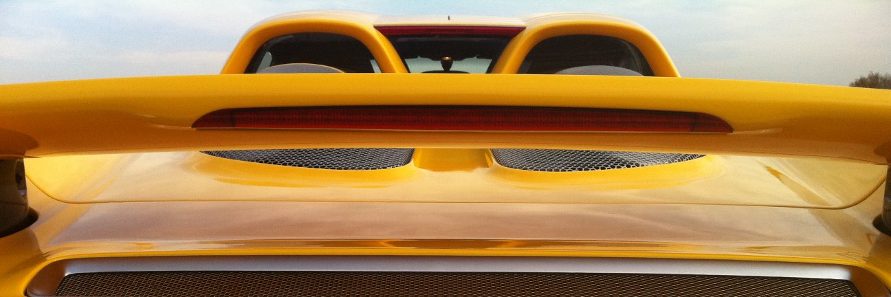 Vicky Parrott banner