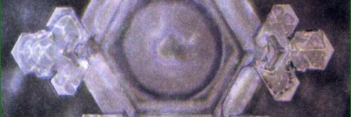 PatNaturo's profile banner image