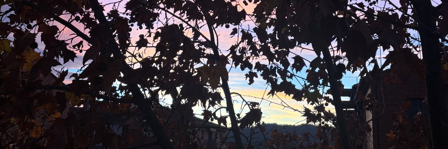 backforbiebs's profile banner image