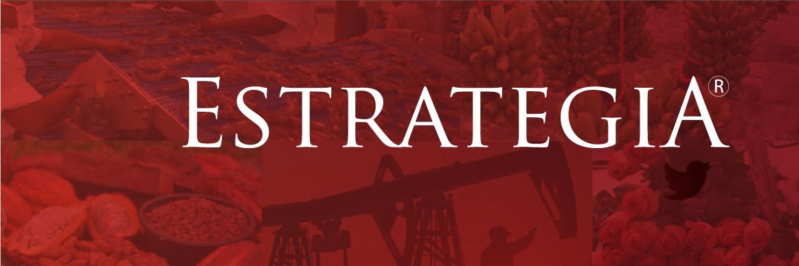 RevisESTRATEGIA's profile banner image