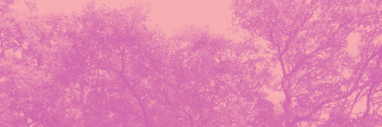 fontiago's profile banner image