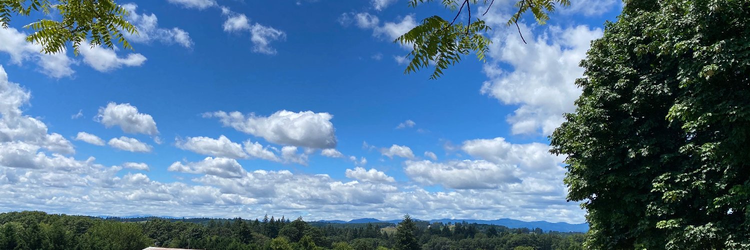 Bjers1's profile banner image