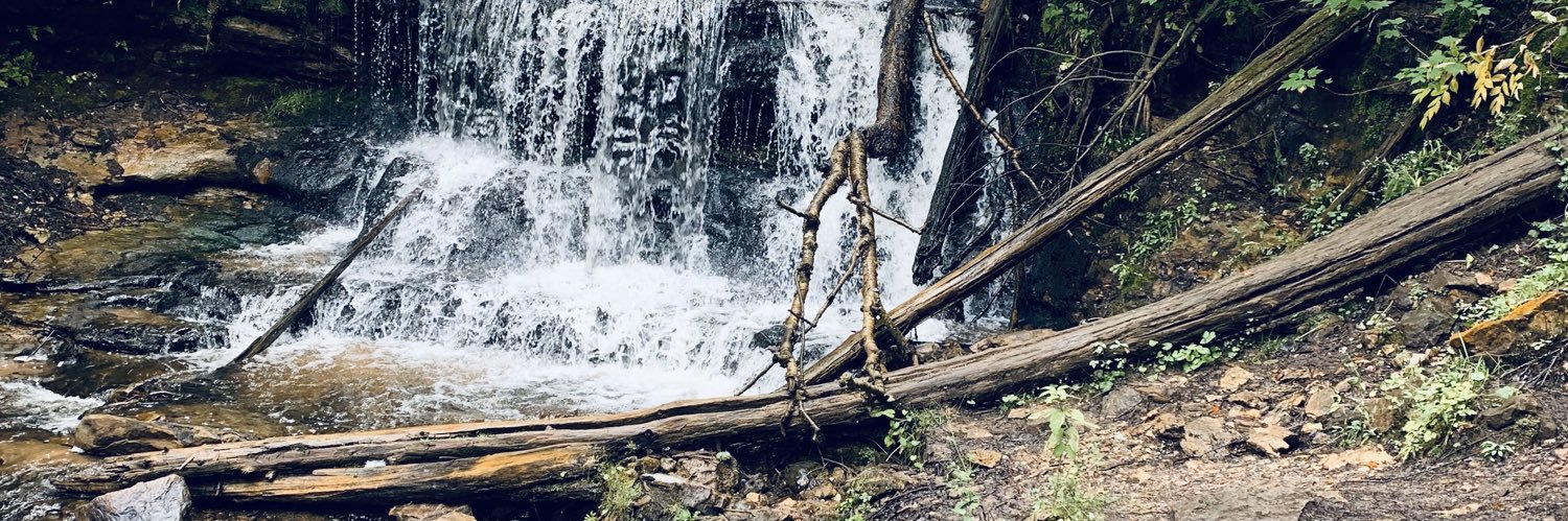meliscott's profile banner image