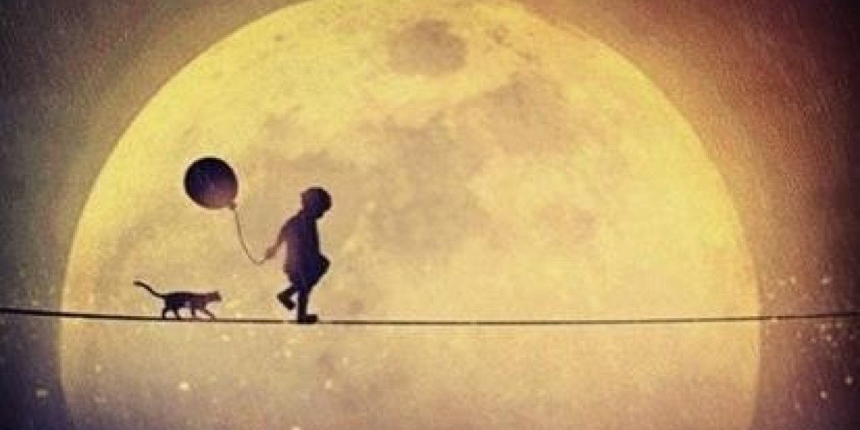 timmmsays's profile banner image