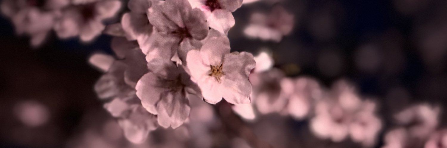 sprn0507's profile banner image