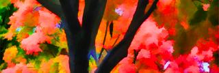 meprimate's profile banner image