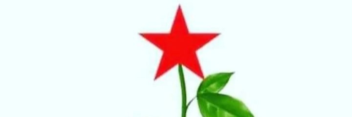 SheylaKouri's profile banner image