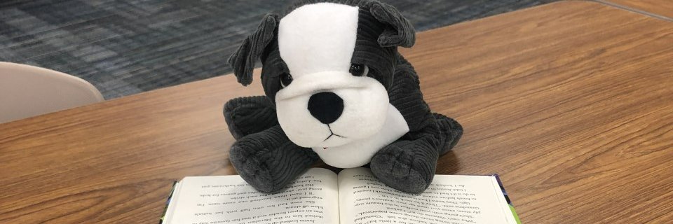 SERE Bulldog Library banner