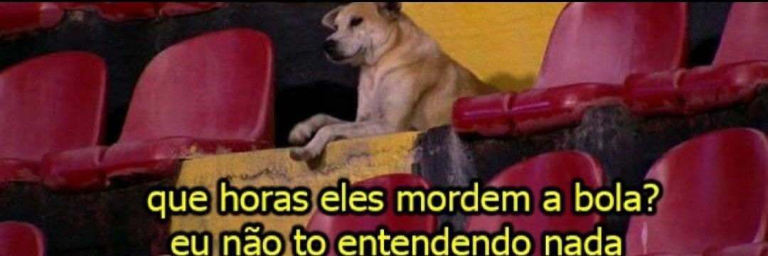 Doguinho banner