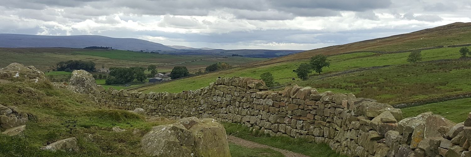 rachelsnaith's profile banner image
