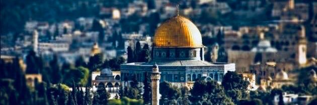 Sayedmoussa1981's profile banner image