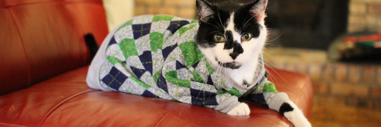 Hoodcatco's profile banner image