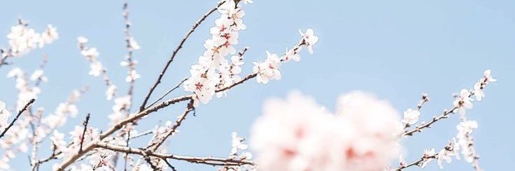 AlexaandraM11's profile banner image