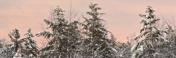 ve1ours_ Profile Banner