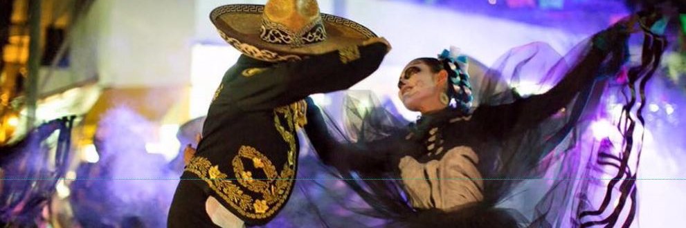 DiaDeMuertosPv's profile banner image