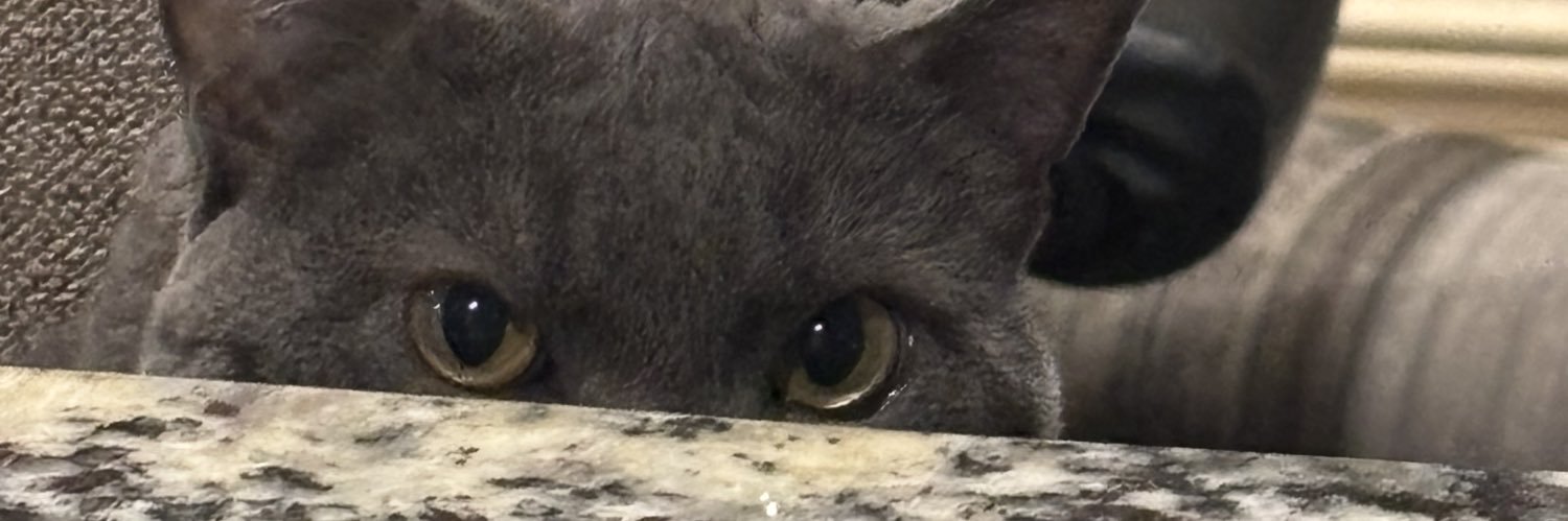 okxsxm's profile banner image