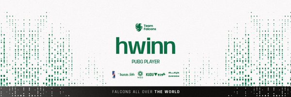 hwinnfps Profile Banner