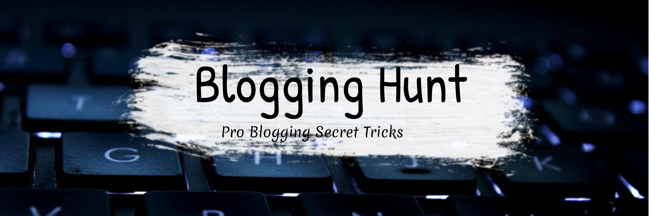 blogginghunt's profile banner image