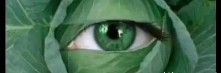 Seth_ocsaif's profile banner image